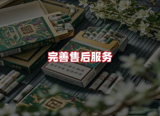 专业团队